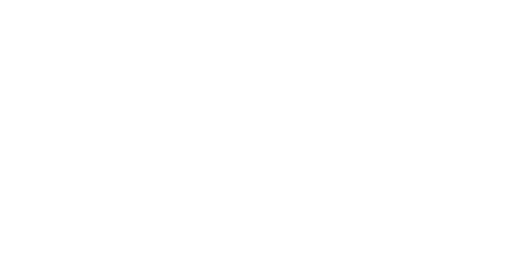 The Diary of a CEO
